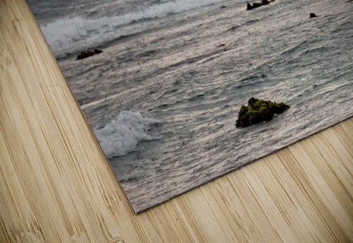 Soarin’ Sarah Jessica Forte puzzle