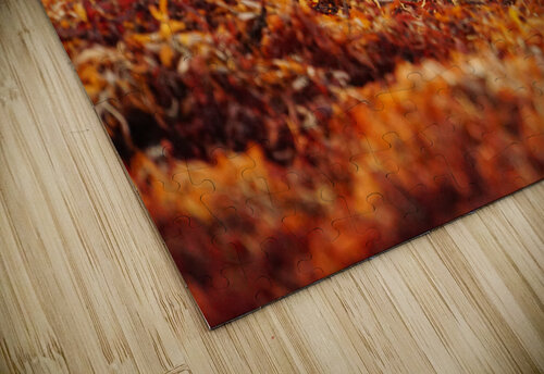 Sunset Nap Sarah Jessica Forte puzzle