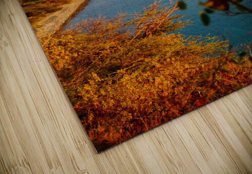 Salt Plage Sarah Jessica Forte puzzle