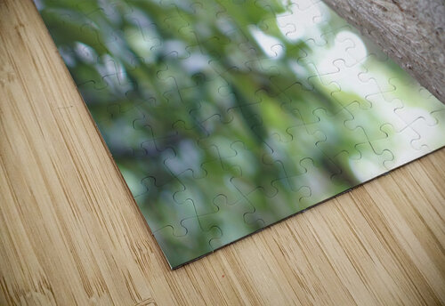 Just Hanging Sarah Jessica Forte puzzle