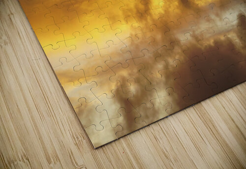 Rolling in Sarah Jessica Forte puzzle