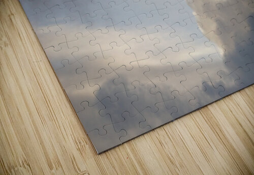 Humbled Sarah Jessica Forte puzzle
