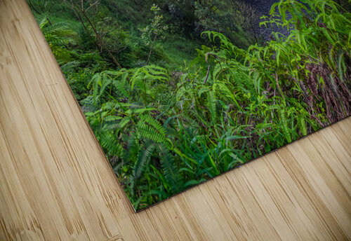 Moana  Sarah Jessica Forte puzzle