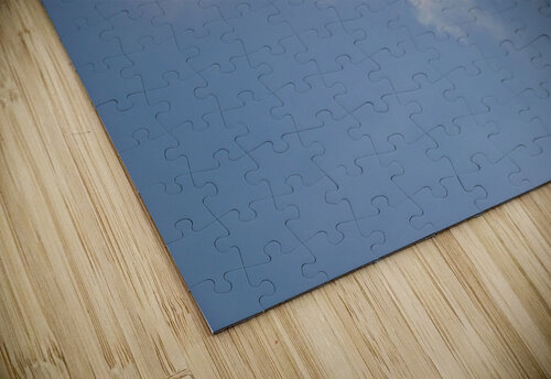 Freed Sarah Jessica Forte puzzle
