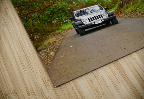 Maui Jeep Sarah Jessica Forte puzzle