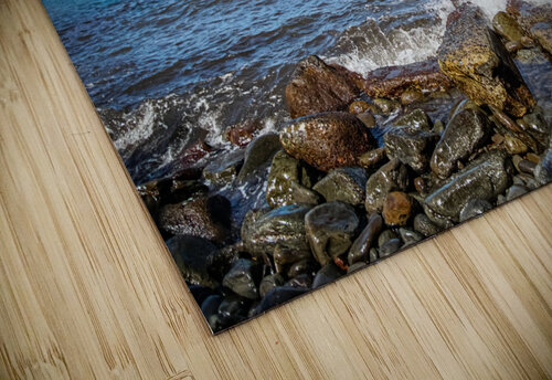 Outlet Sarah Jessica Forte puzzle