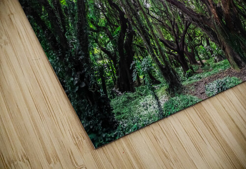 Larger Secret Forest Sarah Jessica Forte puzzle