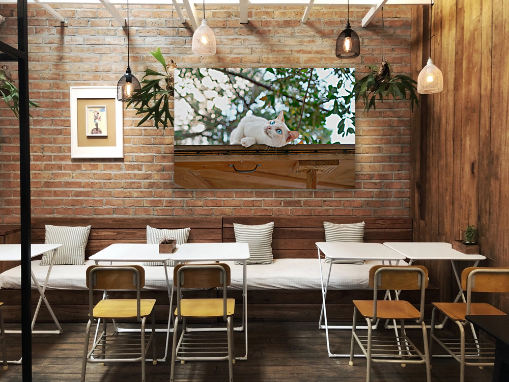 Reggae Beach Cat Reproduction