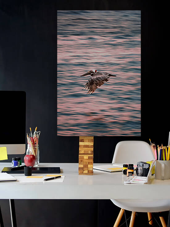 Pelican zoomies Reproduction