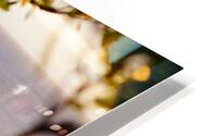 I Spy HD Metal print