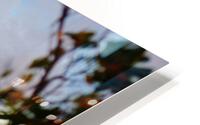 Salt Plage HD Metal print