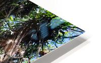 Heads Up HD Metal print