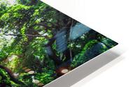 Whispering Forest HD Metal print