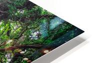 Larger Secret Forest HD Metal print