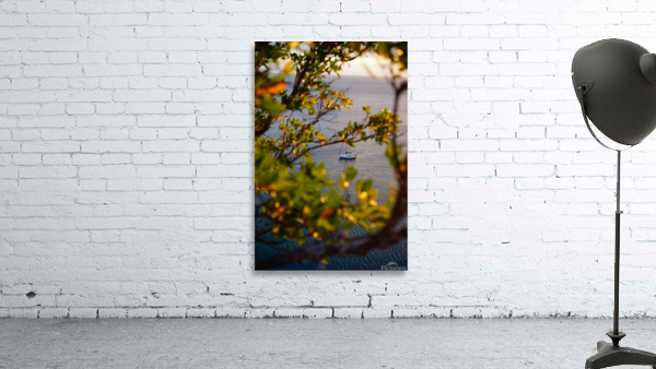 I Spy Wall Preview