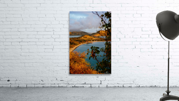 Salt Plage Wall Preview