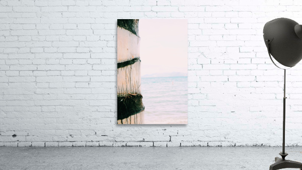 Tree Hugger Wall Preview