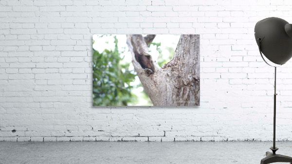 Just Hanging Wall Preview