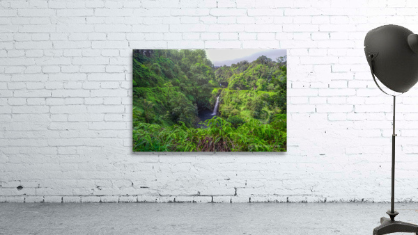 Moana  Wall Preview