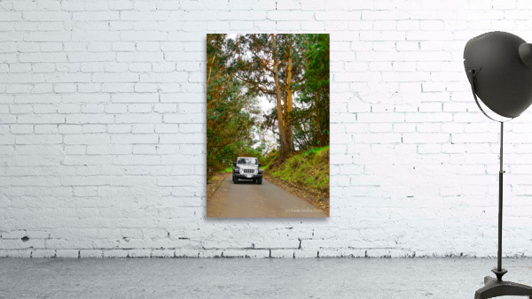 Maui Jeep Wall Preview