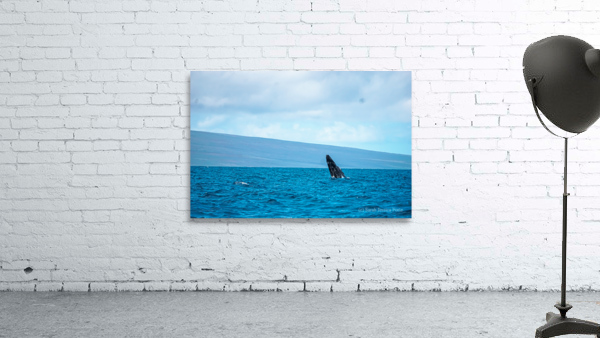 Welcome Wall Preview