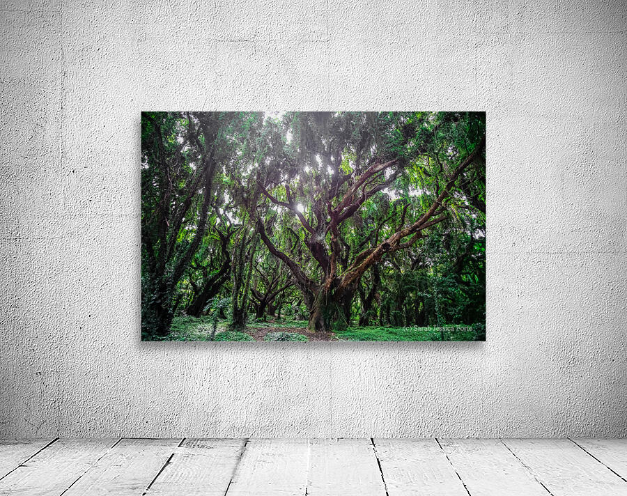 Larger Secret Forest Wall Preview