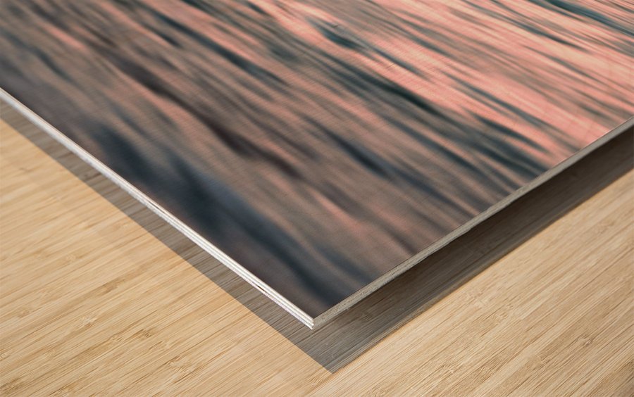 Pelican zoomies Wood print