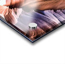 antelope08 Acrylic print