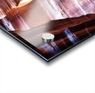 antelope06 Acrylic print