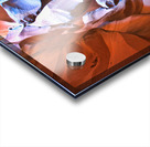 antelope17 Acrylic print