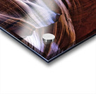 antelope01 Acrylic print