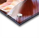 antelope12 Acrylic print