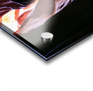 antelope11 Acrylic print