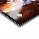 antelope02 Acrylic print