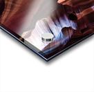 antelope05 Acrylic print