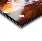 antelope16 Acrylic print