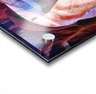 antelope20 Acrylic print