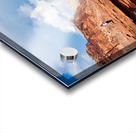 capreef38 Acrylic print