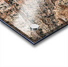 capreef48 Acrylic print