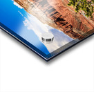 capreef46 Impression Acrylique