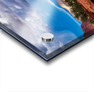 capreef51 Acrylic print