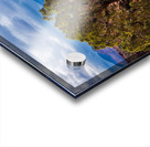 capreef39 Impression Acrylique