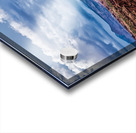 capreef43 Acrylic print