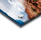 capreef31 Acrylic print