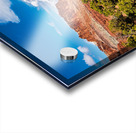 capreef47 Acrylic print