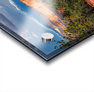 capreef53 Acrylic print