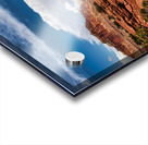 capreef32 Acrylic print