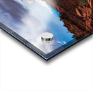 capreef49 Acrylic print