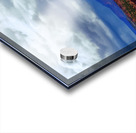 capreef40  Acrylic print