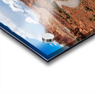 capreef33 Acrylic print